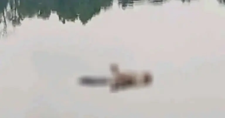 উদ্ধার হওয়া মরদেহ